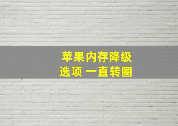 苹果内存降级选项 一直转圈